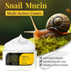 Authentic Disaar Advanced Snail 92 All In One Cream - Official Snail Mucin Moisturizer