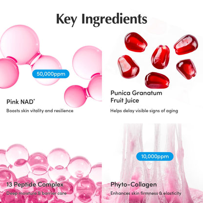 EQQUALBERRY NAD+ Plus Peptide Boosting Cream