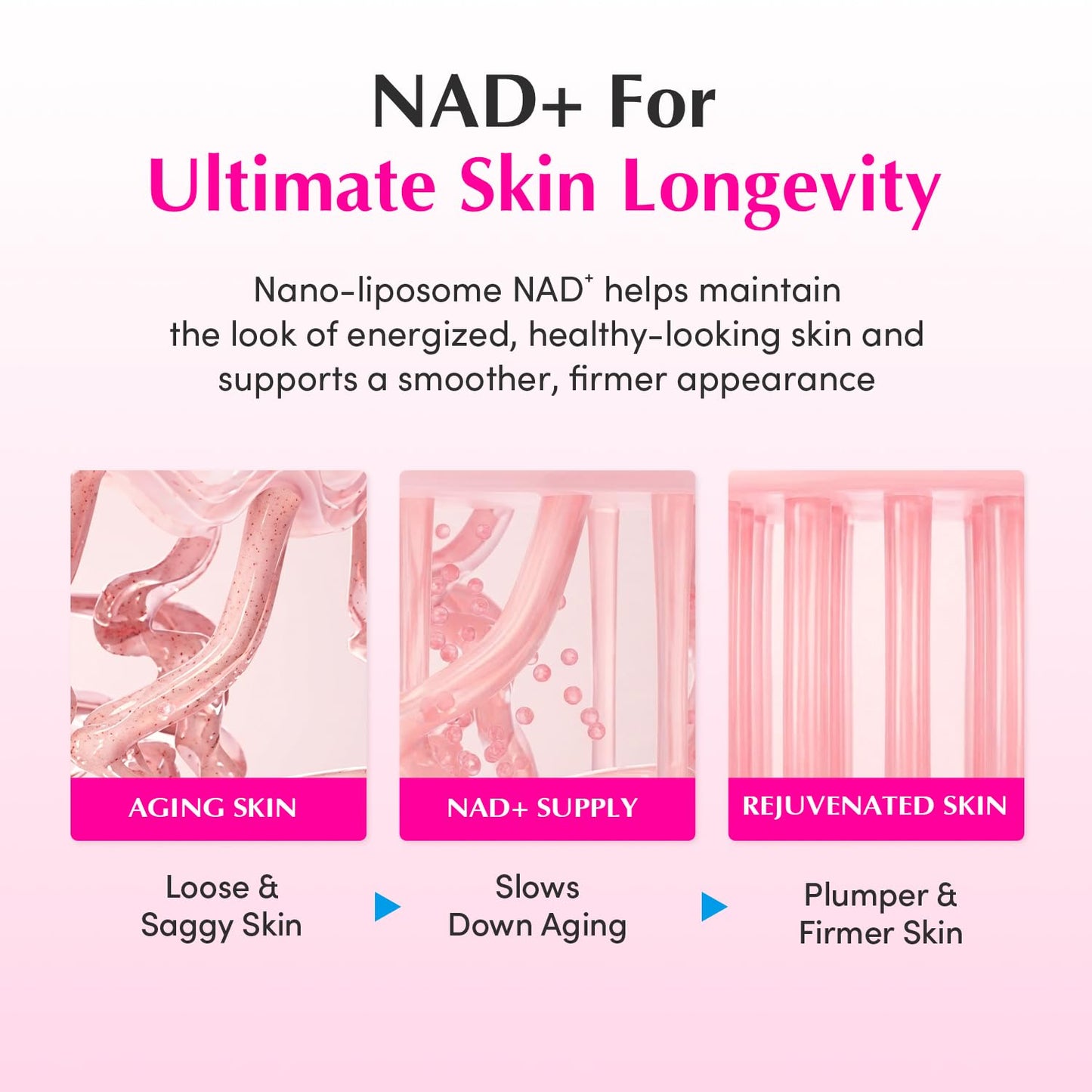 EQQUALBERRY NAD+ Plus Peptide Boosting Cream